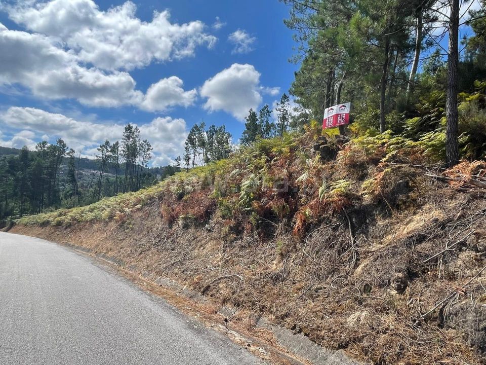 Helårsgrund i Penalva do Castelo, Viseu - foto 2