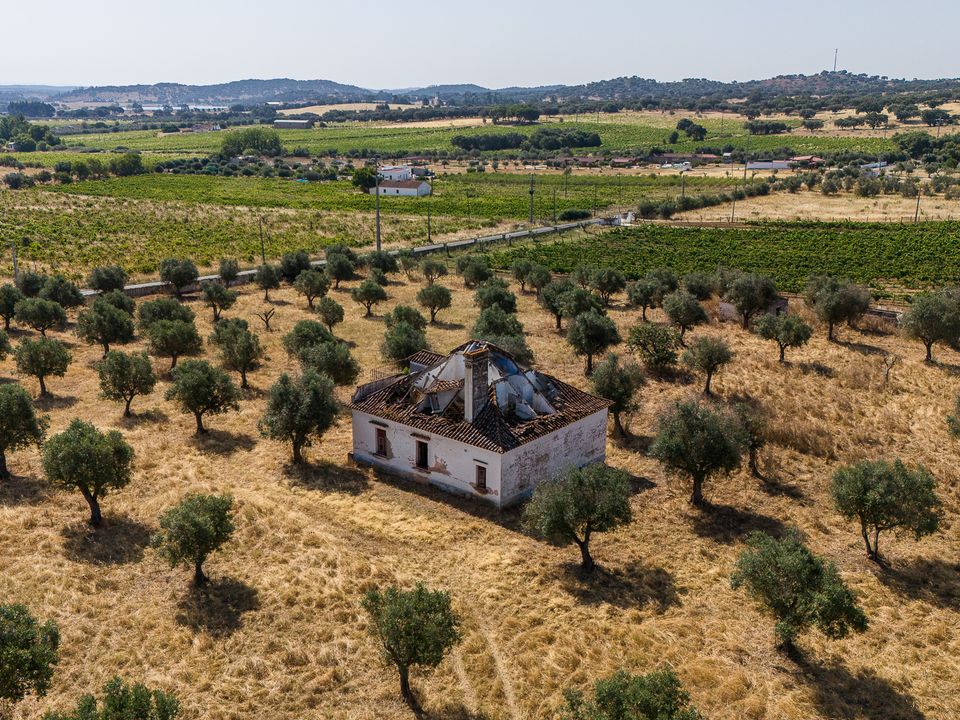 Helårsgrund i Redondo, Evora - foto 3