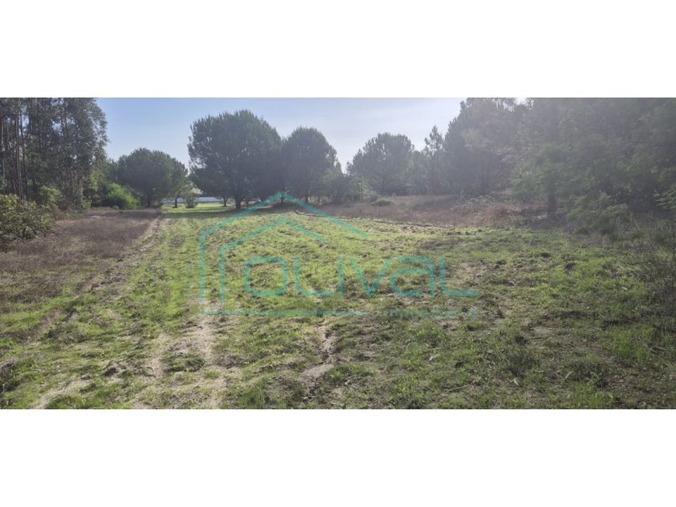 Helårsgrund i Benavente, Santarem - foto 2