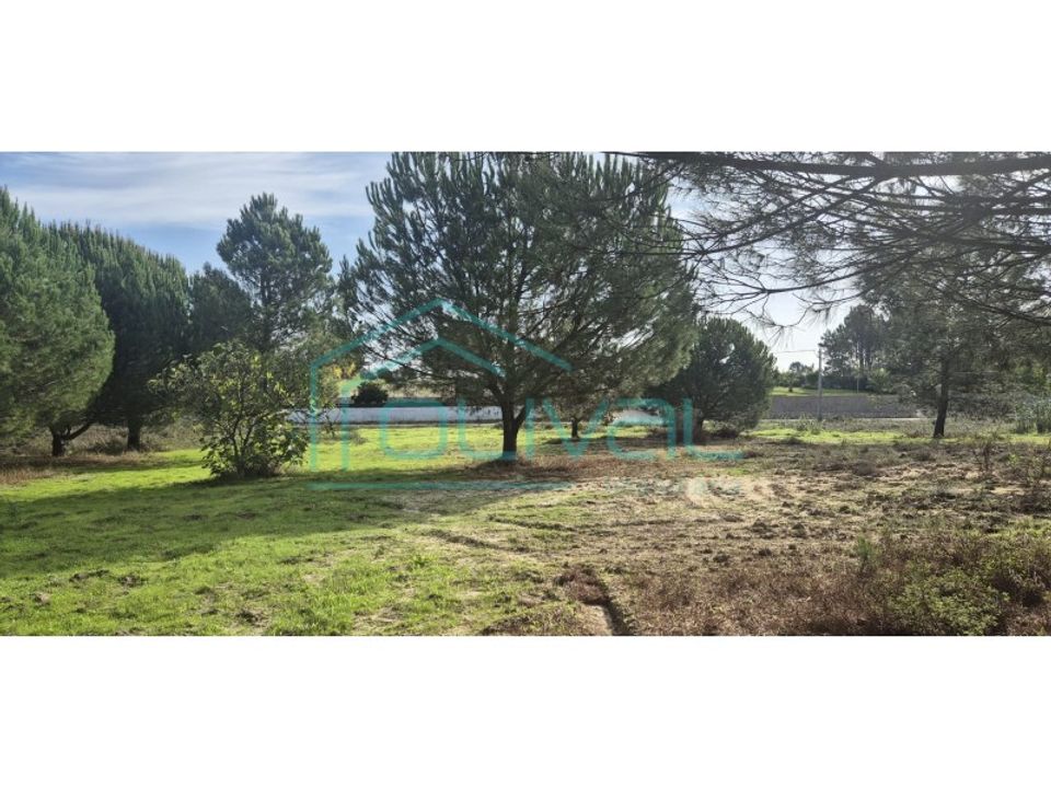 Helårsgrund i Benavente, Santarem - foto 4