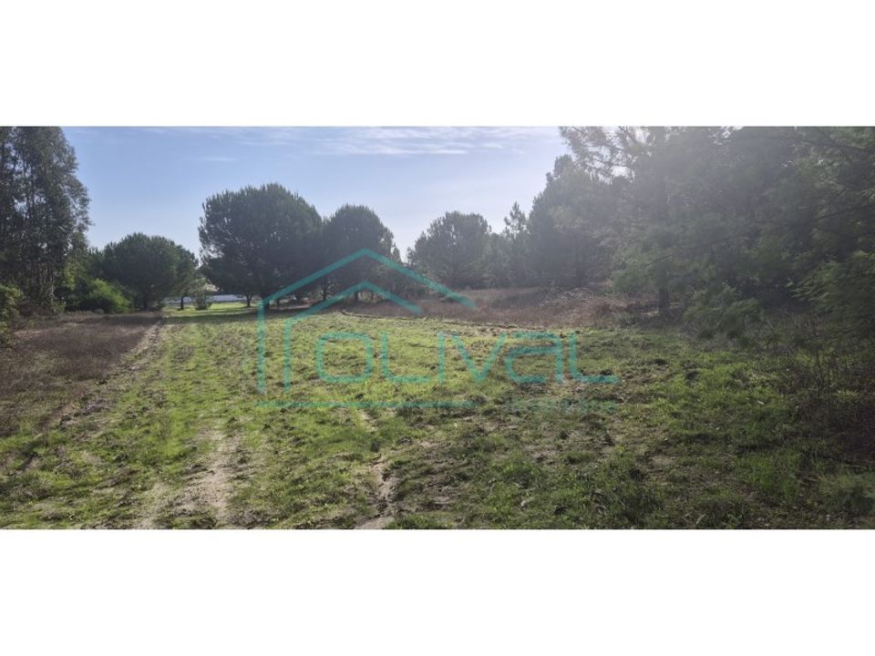 Helårsgrund i Benavente, Santarem - foto 5