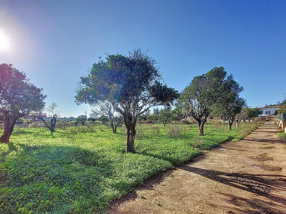Erhvervsejendom i Silves, Faro - foto 3