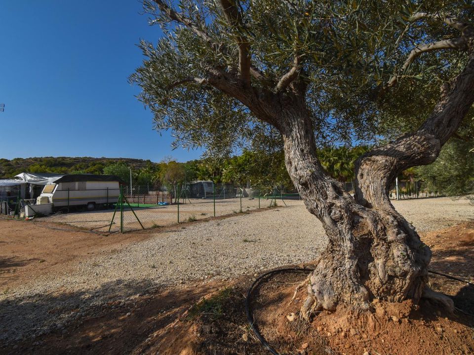Masia a Torrellano, Alicante - foto 2