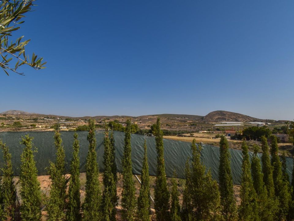 Masia a Torrellano, Alicante - foto 3