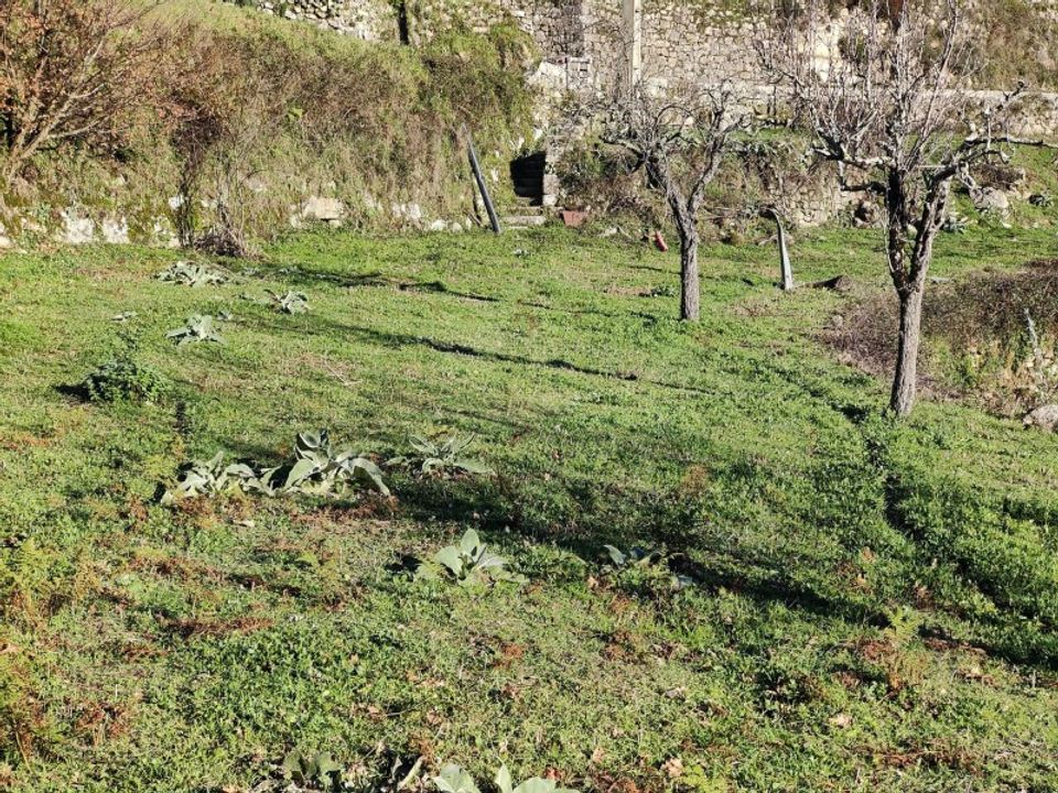 Ruinere i Oliveira do Hospital, Coimbra - foto 5