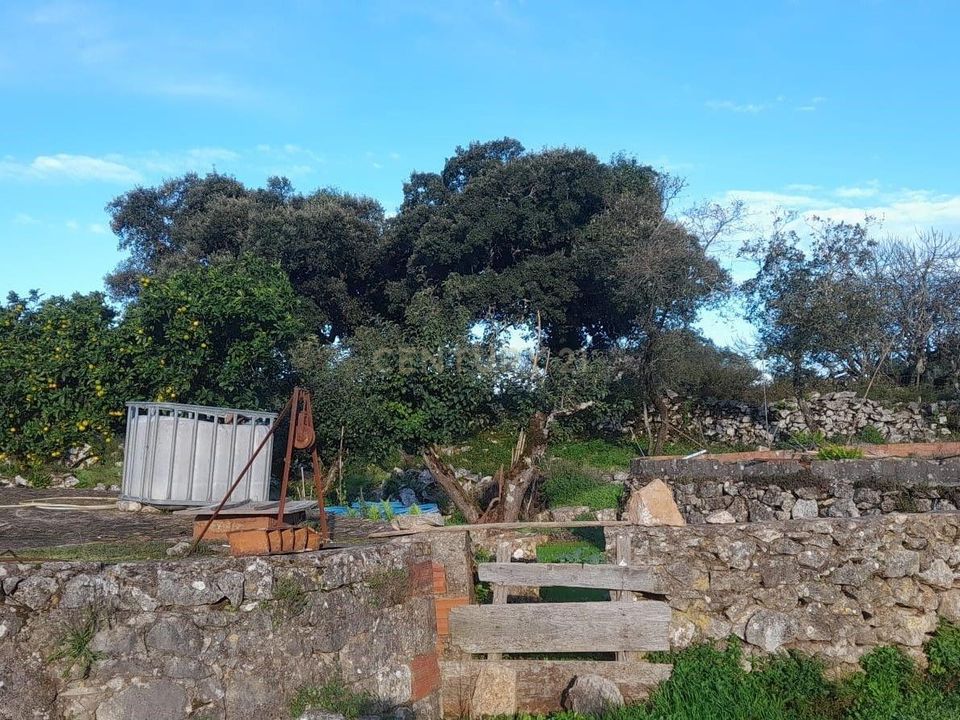 Helårsgrund i Alcanena, Santarem - foto 1