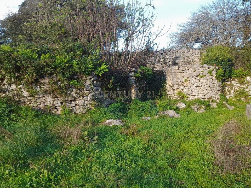 Helårsgrund i Alcanena, Santarem - foto 2