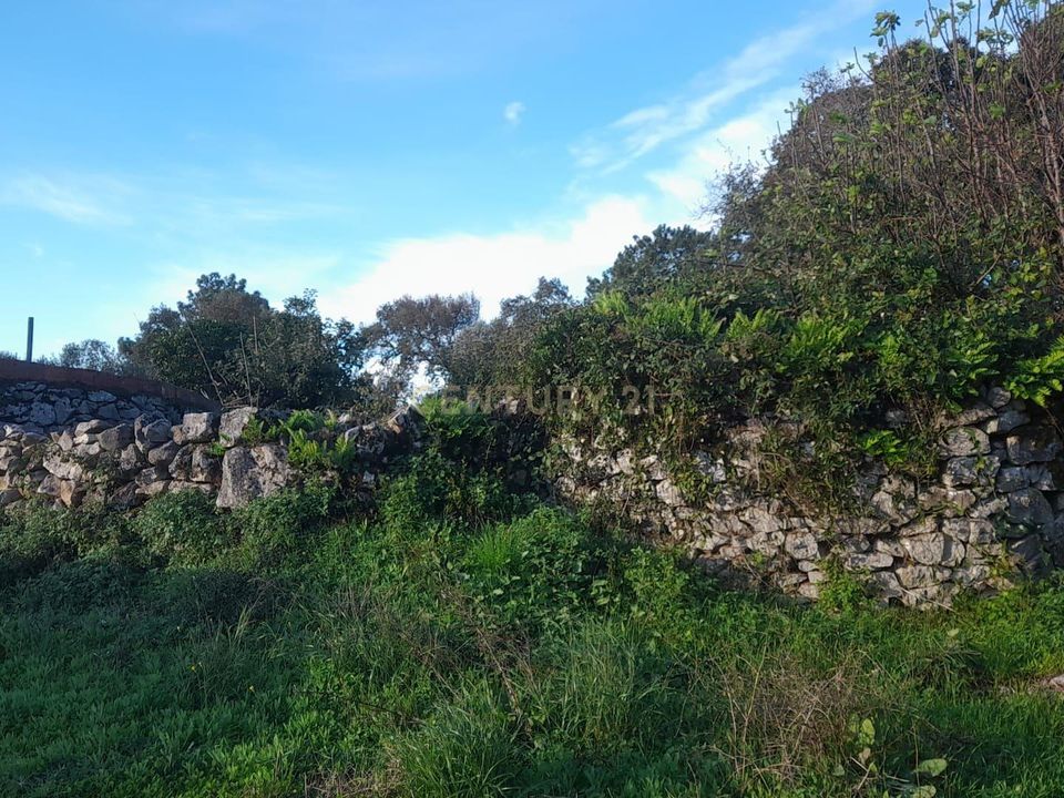 Helårsgrund i Alcanena, Santarem - foto 3