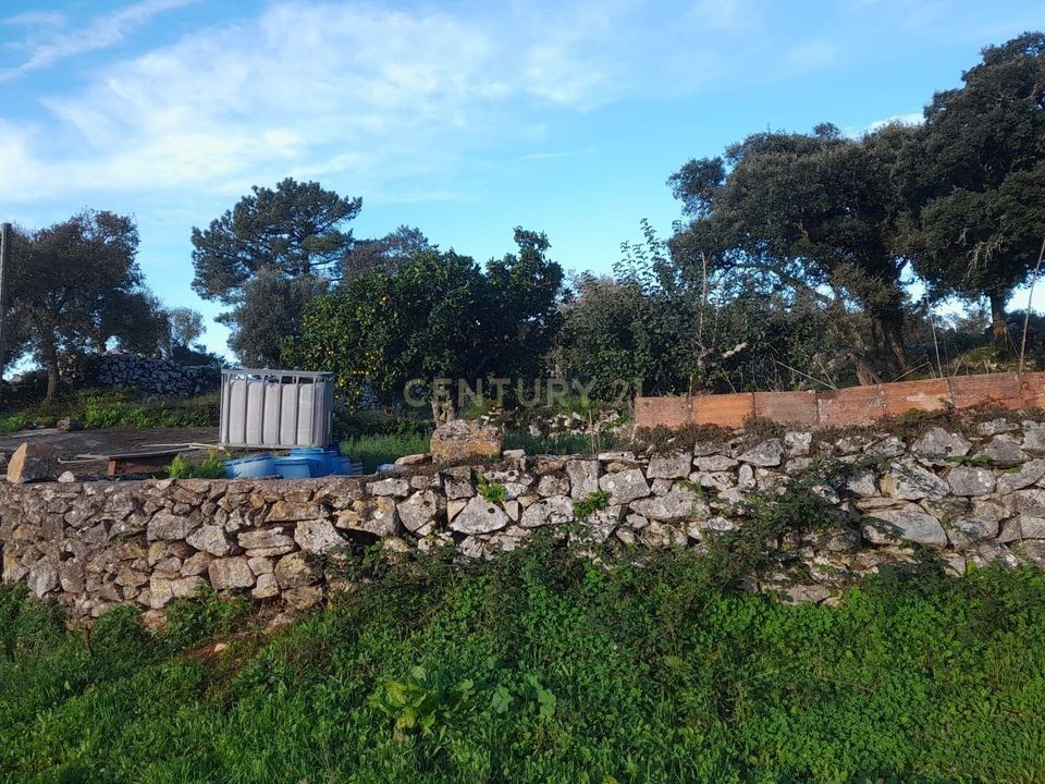 Helårsgrund i Alcanena, Santarem - foto 4