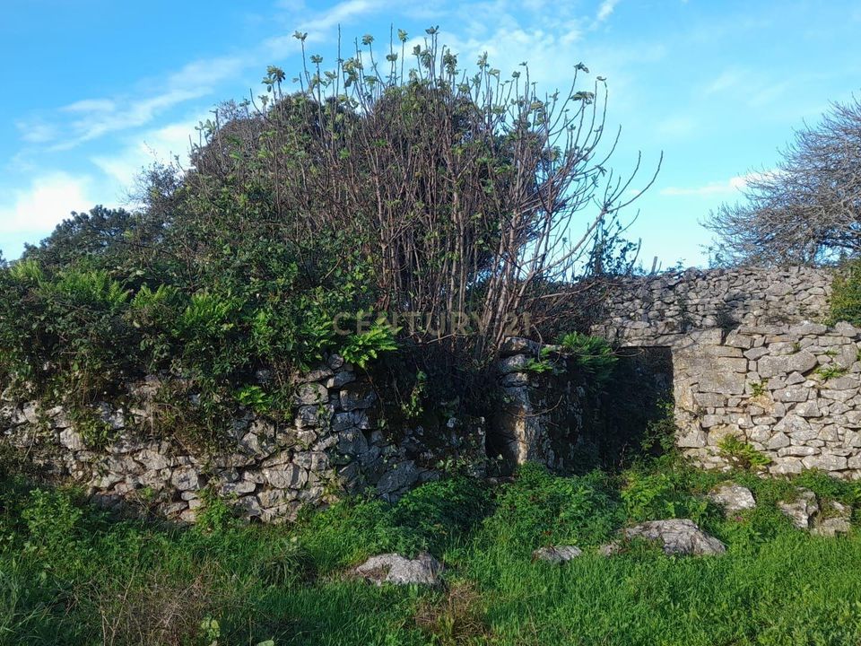 Helårsgrund i Alcanena, Santarem - foto 5