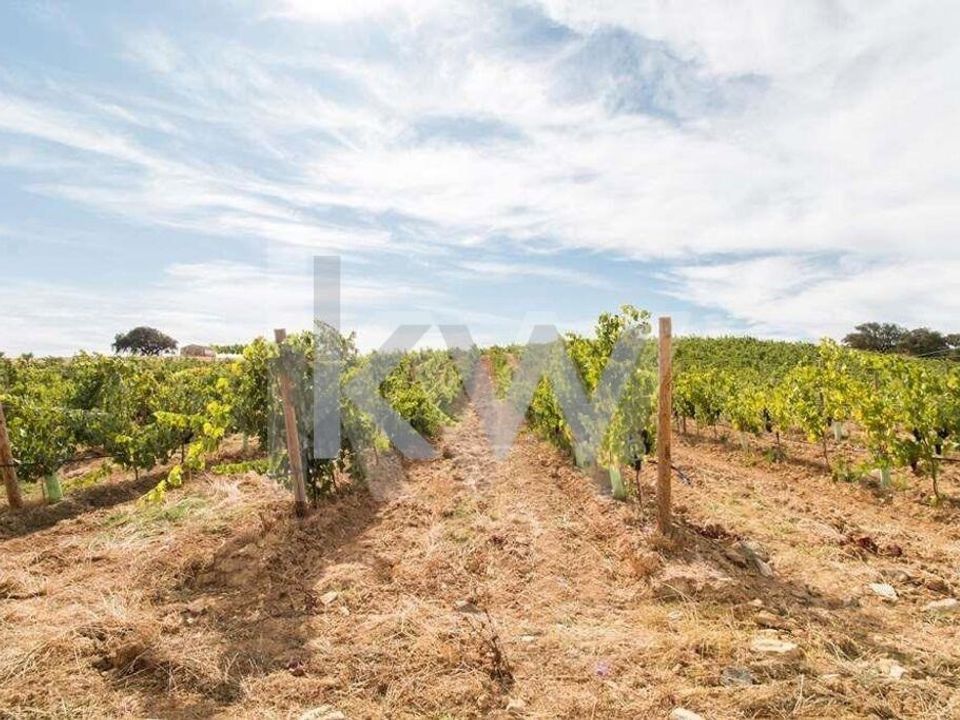 Farm hus i Vidigueira, Beja - foto 3