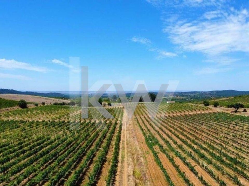 Farm hus i Vidigueira, Beja - foto 4