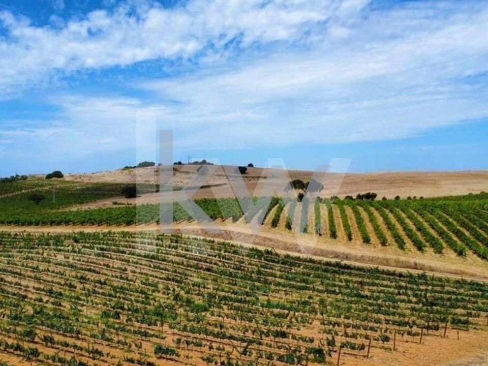 Farm hus i Vidigueira, Beja - foto 5