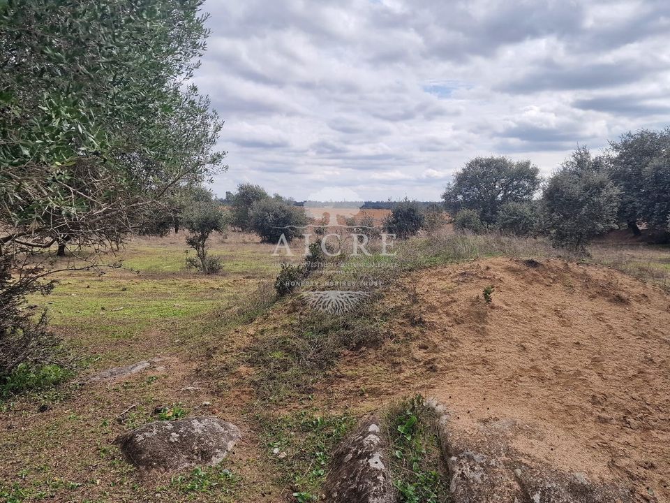 Helårsgrund i Evora, Evora - foto 3