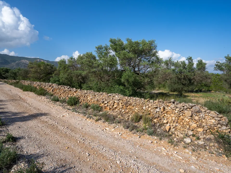 Finca i Xerta, Tarragona - foto 2