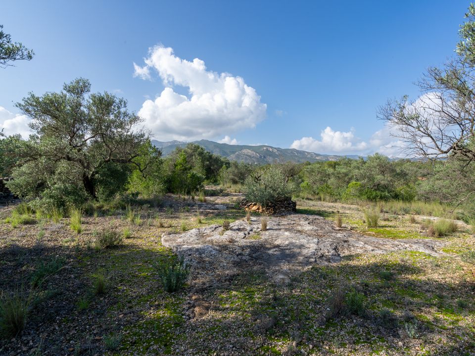 Finca i Xerta, Tarragona - foto 4