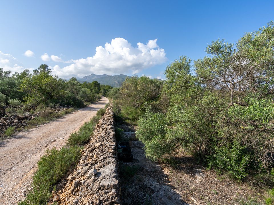 Finca i Xerta, Tarragona - foto 1