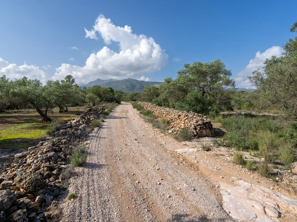 Finca i Xerta, Tarragona - foto 3