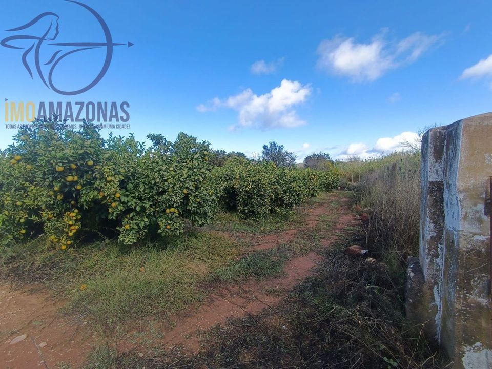 Helårsgrund i Silves, Faro - foto 2