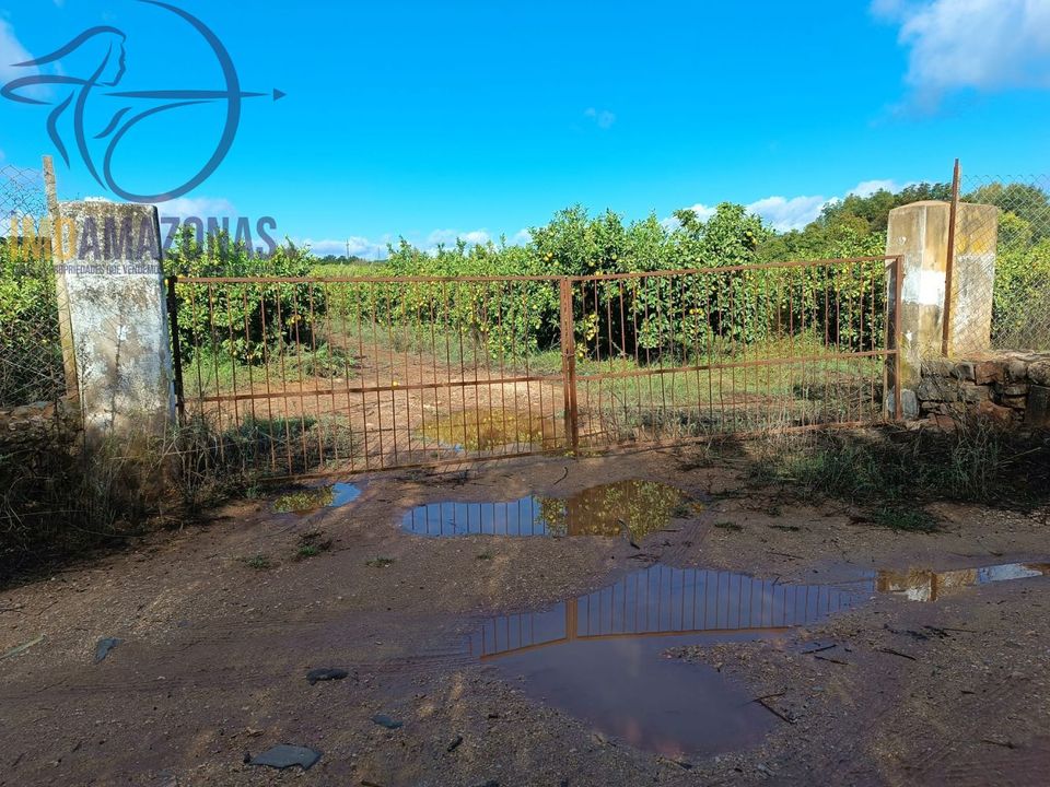Helårsgrund i Silves, Faro - foto 5