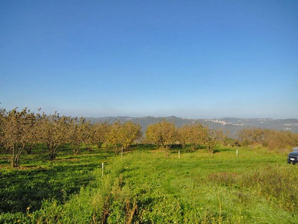 Landejendom i Feisoglio, Cuneo - foto 2