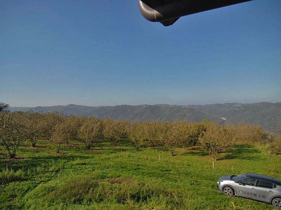 Landejendom i Feisoglio, Cuneo - foto 5