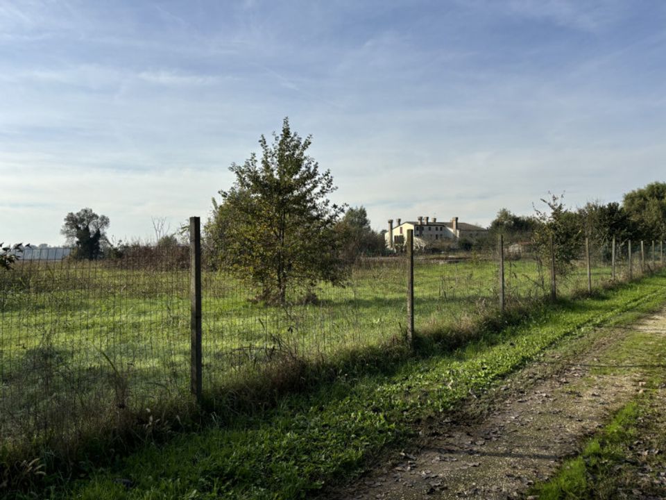 Helårsgrund i Conselve, Padua - foto 3