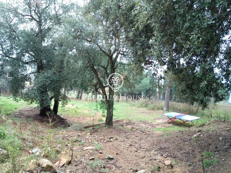 Terra a Tordera, Barcelona - foto 4