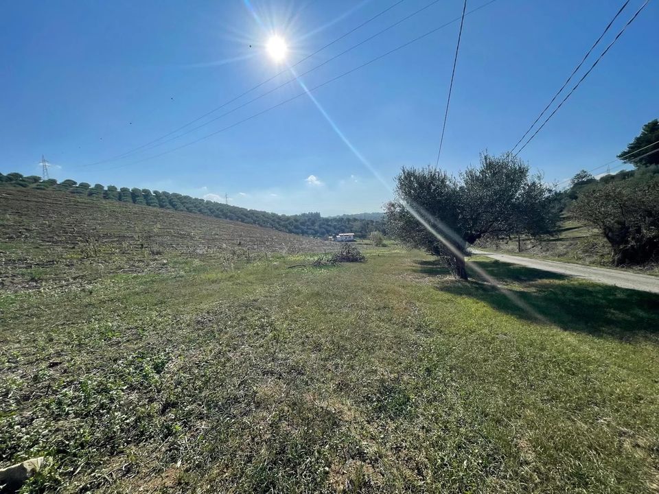 Terra a Moscufo, Pescara - foto 4