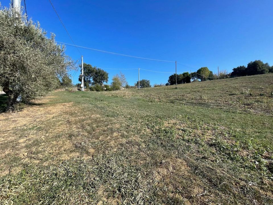 Terra a Moscufo, Pescara - foto 5