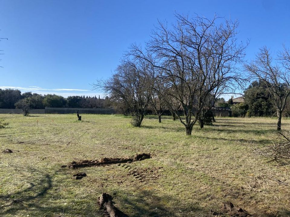 Land in Saint-Quentin-la-Poterie, Gard - photo 2
