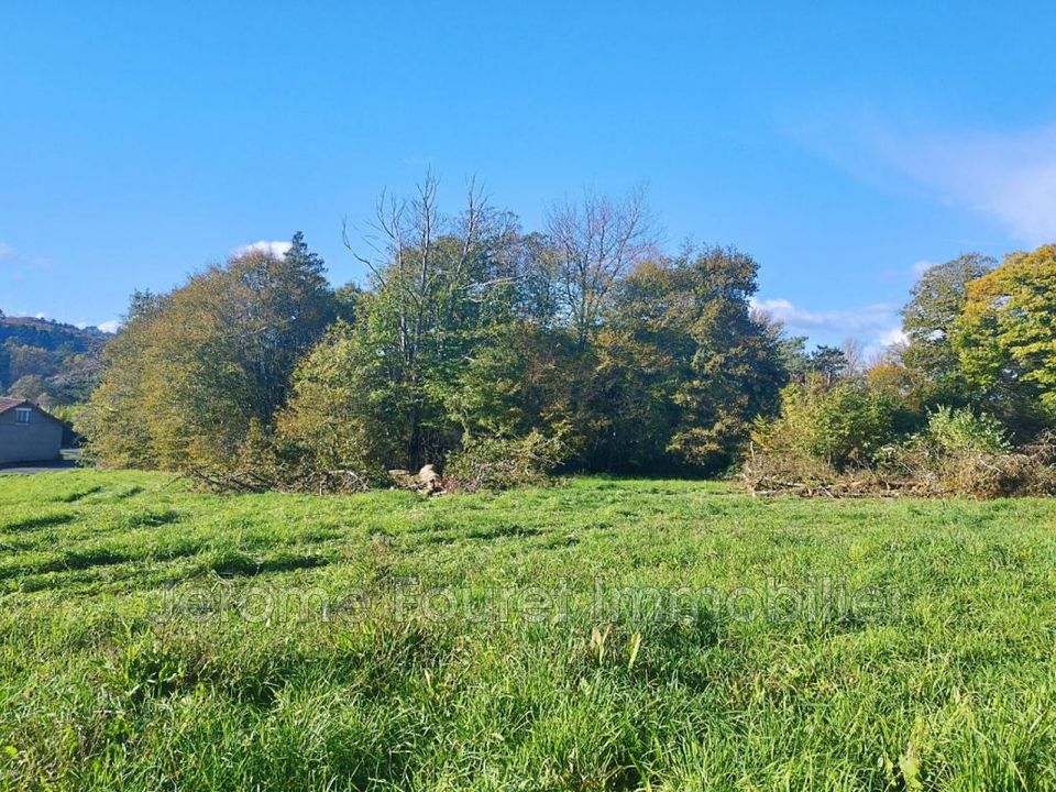 Farm hus i Naves, Correze - foto 3