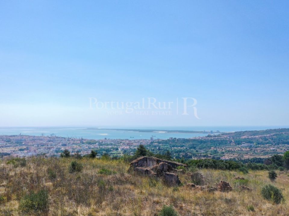Farm i Palmela, Setubal - foto 2