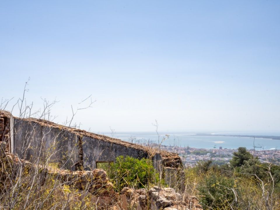 Farm i Palmela, Setubal - foto 3