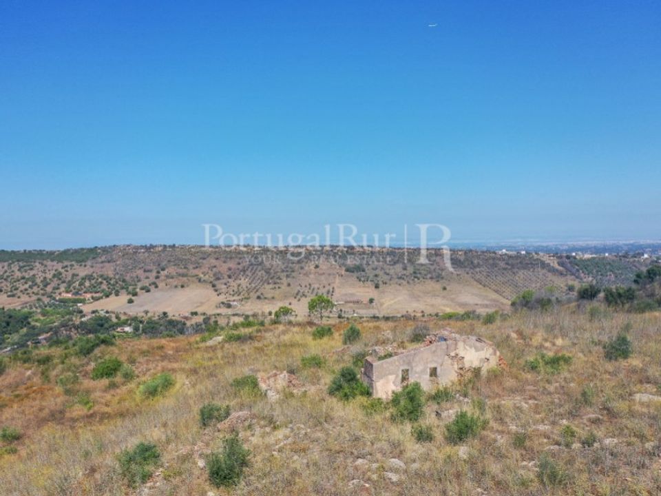 Farm i Palmela, Setubal - foto 5
