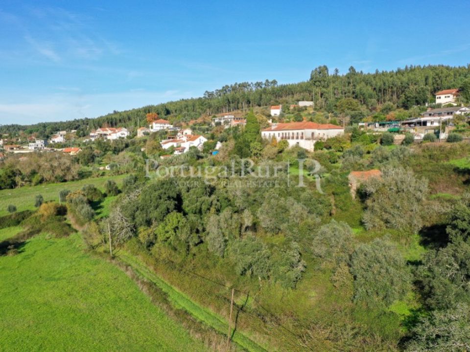 Farm i Ferreira do Zezere, Santarem - foto 3