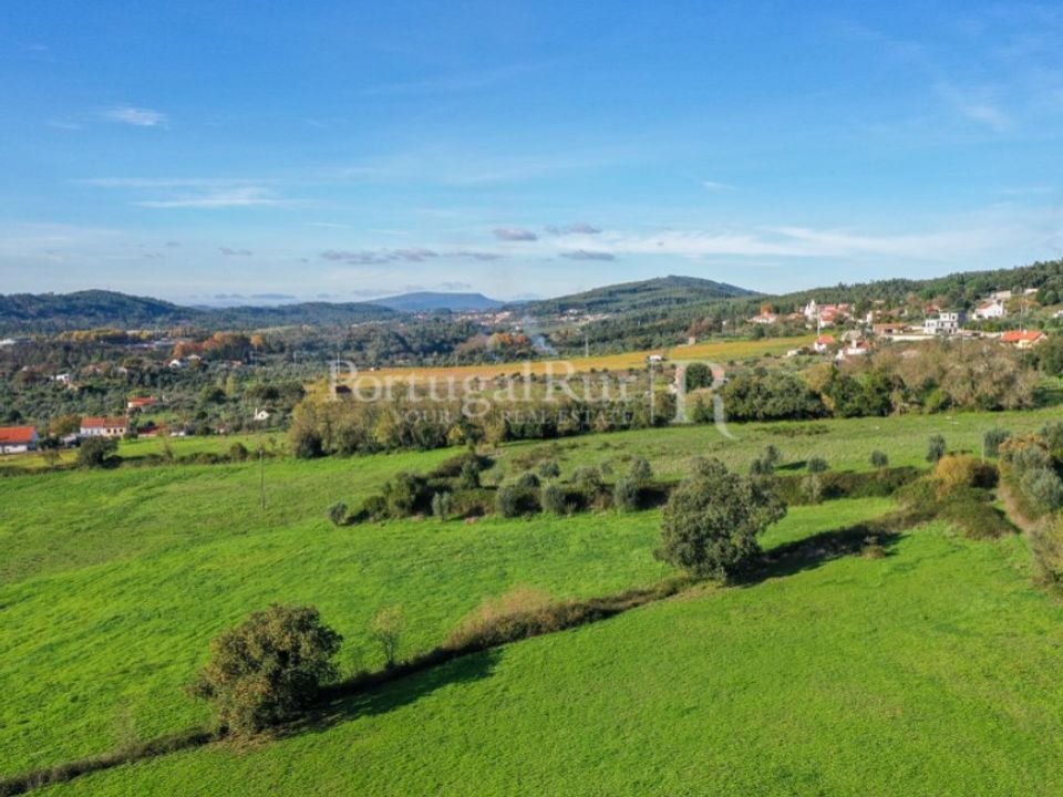 Farm i Ferreira do Zezere, Santarem - foto 4