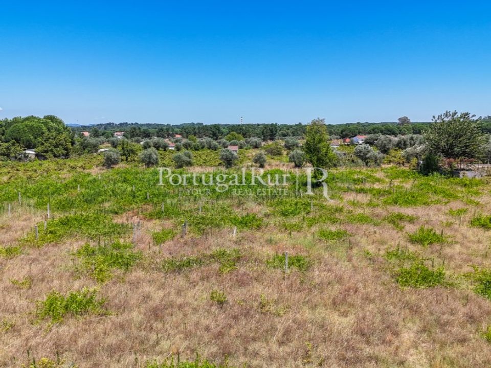 Tomt i Abrantes, Santarem - foto 2