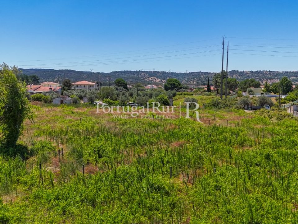 Tomt i Abrantes, Santarem - foto 3