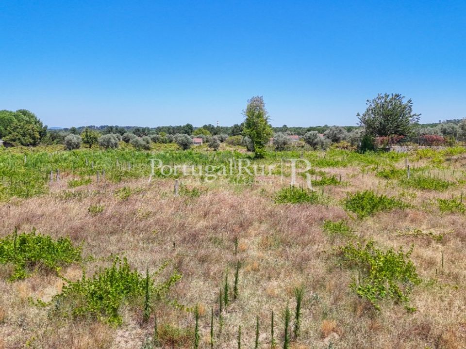 Tomt i Abrantes, Santarem - foto 4
