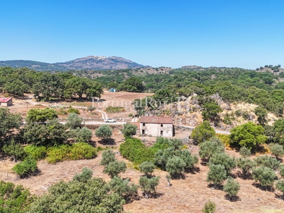 Gård i Castelo de Vide, Portalegre - bilde 4
