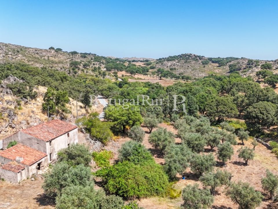 Gård i Castelo de Vide, Portalegre - bilde 5