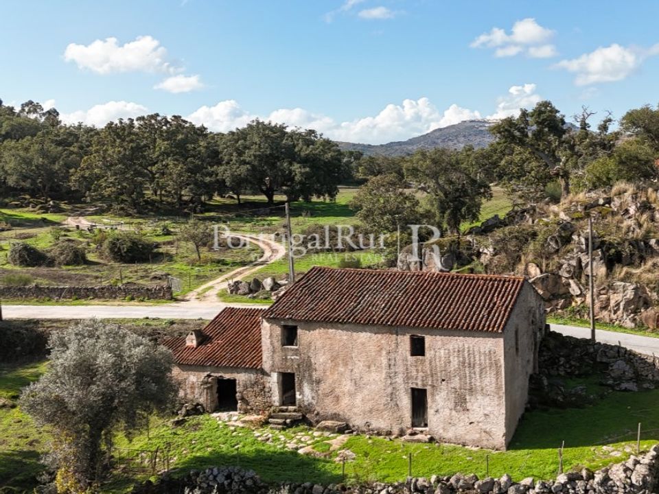 Gård i Castelo de Vide, Portalegre - bilde 3
