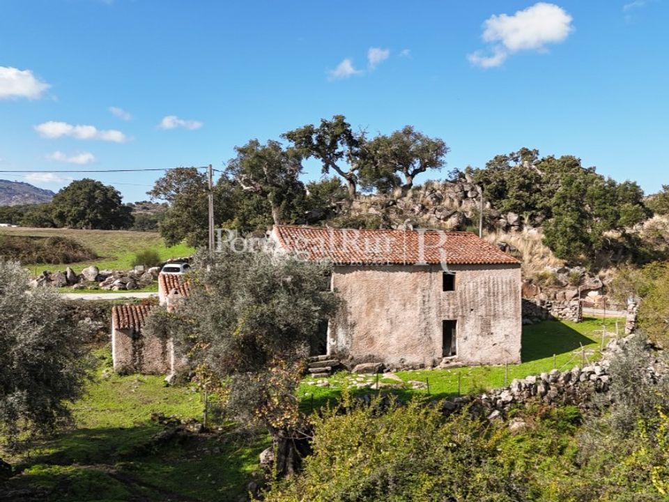 Gård i Castelo de Vide, Portalegre - bilde 1