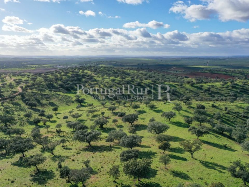 Landejendom i Evora, Evora - foto 1