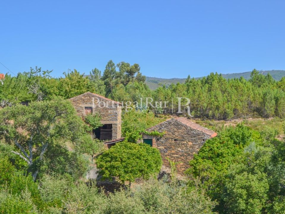 Farm i Sobreira Formosa e Alvito da Beira, Castelo Branco - foto 1