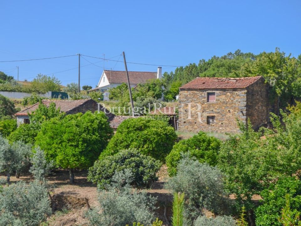 Farm i Sobreira Formosa e Alvito da Beira, Castelo Branco - foto 2