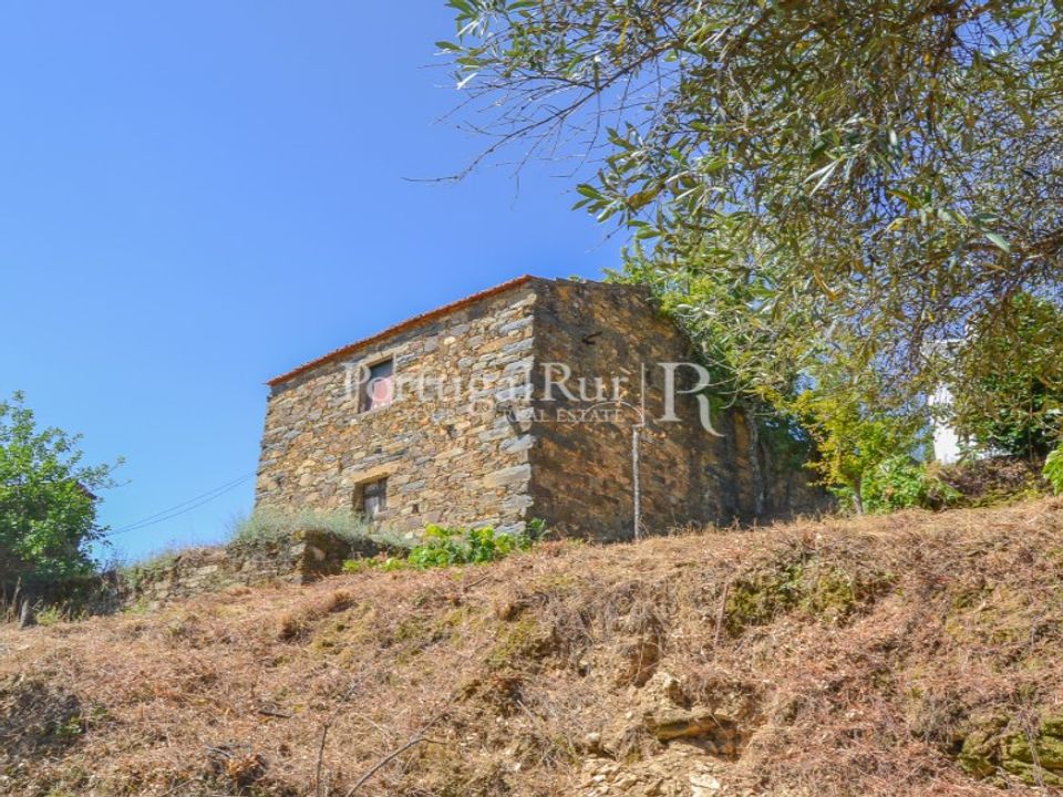 Farm i Sobreira Formosa e Alvito da Beira, Castelo Branco - foto 3