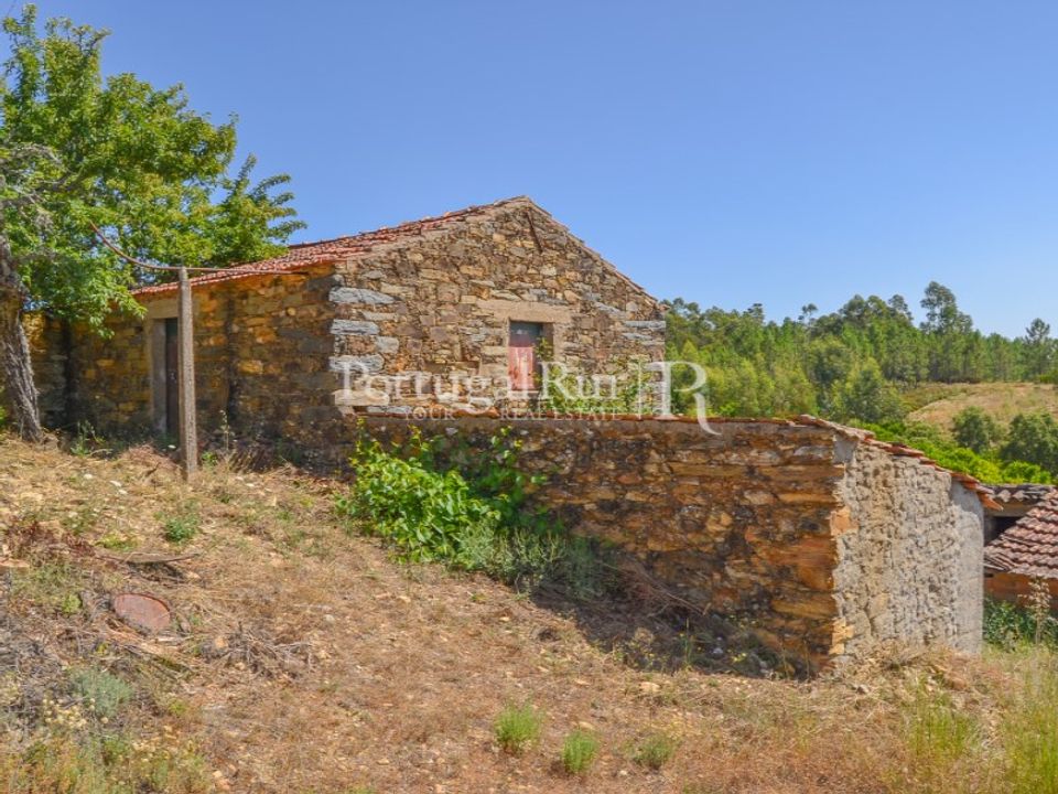 Farm i Sobreira Formosa e Alvito da Beira, Castelo Branco - foto 4