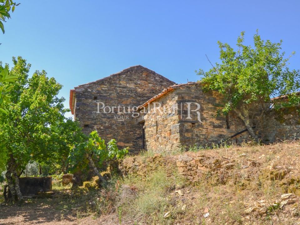 Farm i Sobreira Formosa e Alvito da Beira, Castelo Branco - foto 5